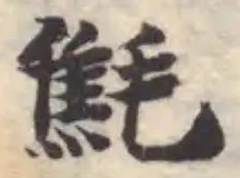 㲬の位置