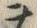 「コ」字