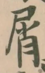 屑 위치 확인됨