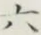 글자 六