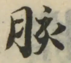 胲 위치 확인됨
