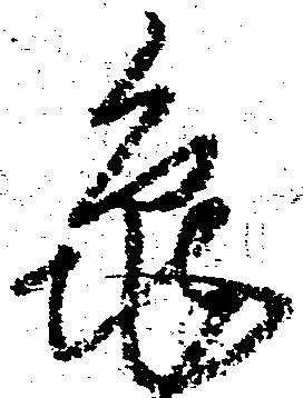 已定位亀
