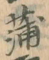 文字蒲