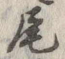尾 위치 확인됨