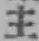 글자 主