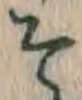 글자 そ