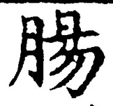 글자 腸