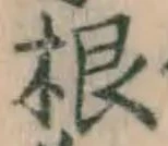 文字根