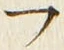 𡨸フ