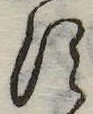 𛁑 위치 확인됨