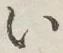 글자 い