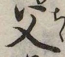 位置定マレル父