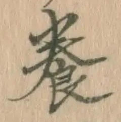 Chữ 養