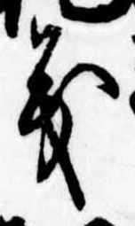位置 確認된 義