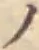 字ノ