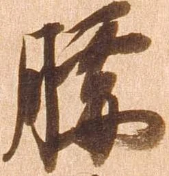 已定位腰