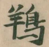 鴹 위치 확인됨