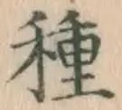 글자 種