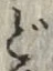 文字 ど
