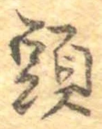 已定位頭