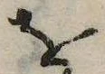 已定位𛄜