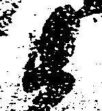 Đã định vị 衛