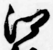 江 위치 확인됨