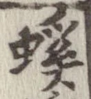 螇 위치 확인됨