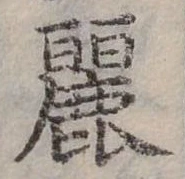 已定位麗