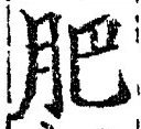 文字肥