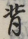 背 위치 확인됨