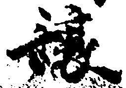 Đã định vị 譲