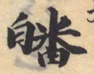 皤の位置