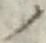 字ノ