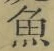文字魚
