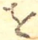 𛄜 위치 확인됨