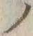 字ノ