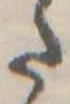 已定位𛁠