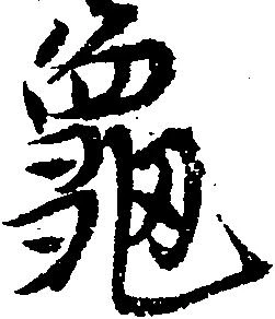 已定位亀