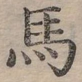 馬 위치 확인됨