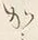 글자 か