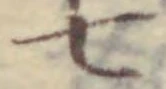 “七”字