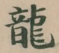 已定位龍