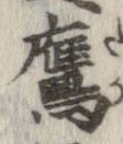 鷹 위치 확인됨