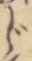 글자 じ