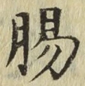 文字腸
