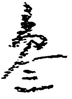 参の位置