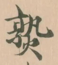 𤍨の位置