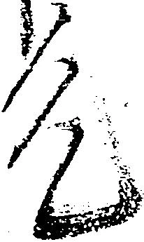 允 위치 확인됨