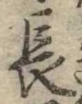 長 위치 확인됨